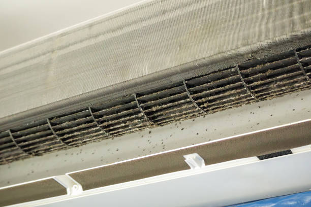Best Ductwork Cleaning Services  in San Antonio, TX